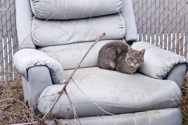 Recliner Disposal